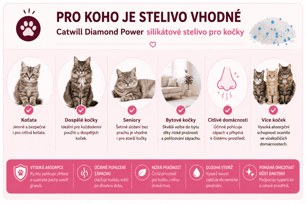 Catwill pro koho je stelivo vhodné